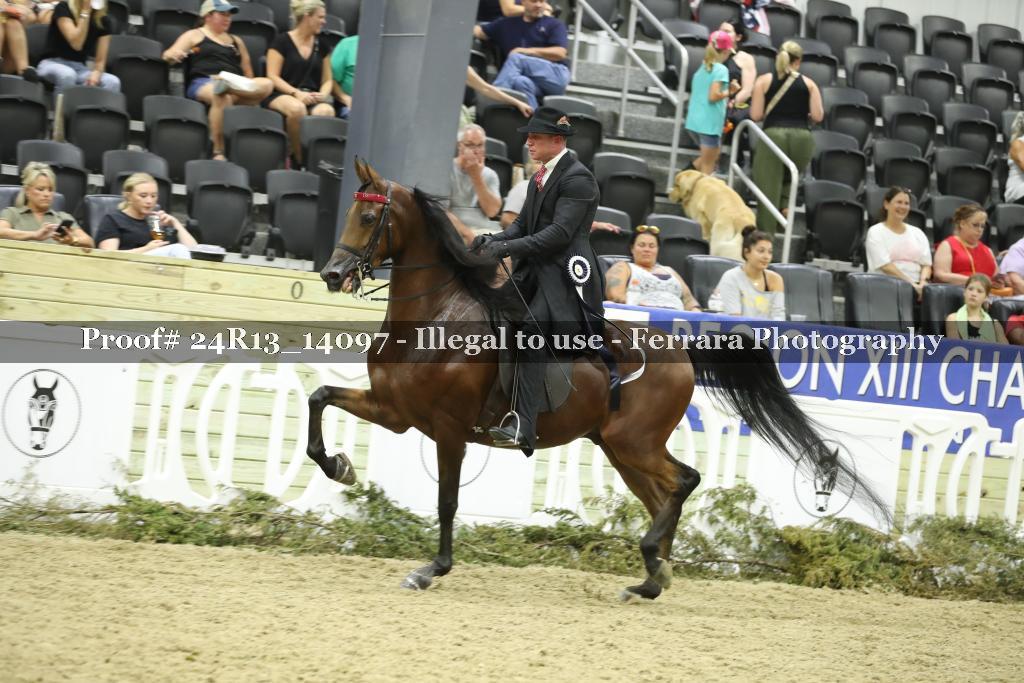 Proof 24R13_14097
