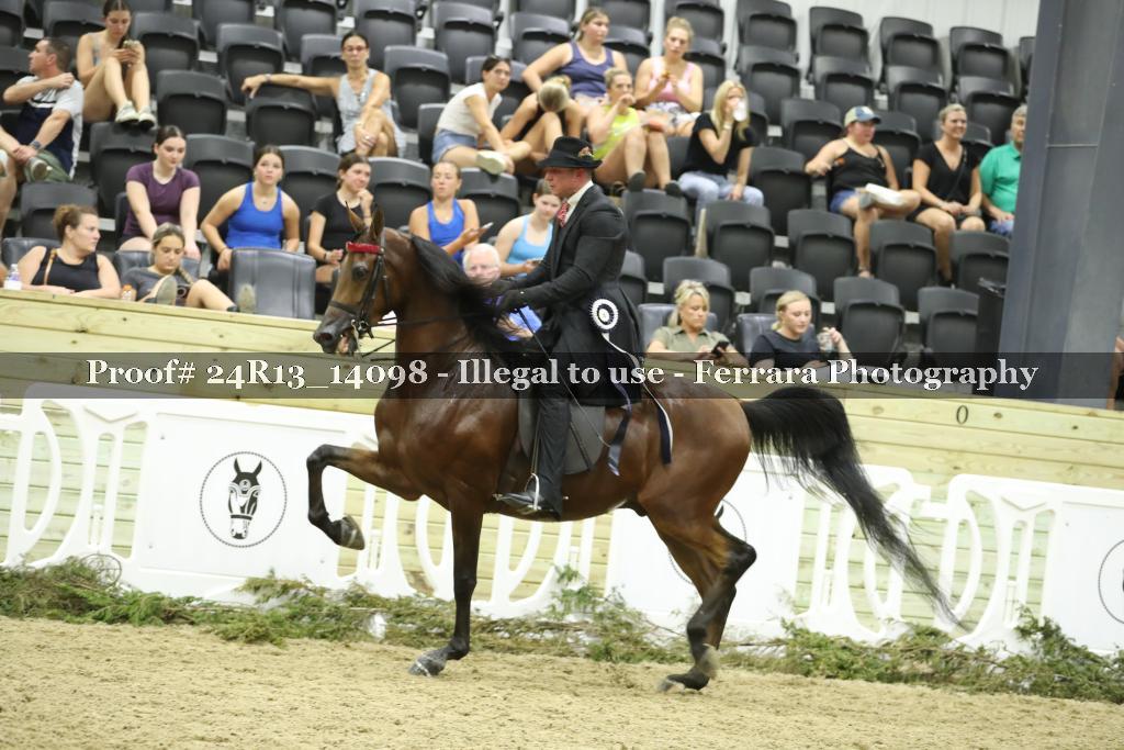 Proof 24R13_14098