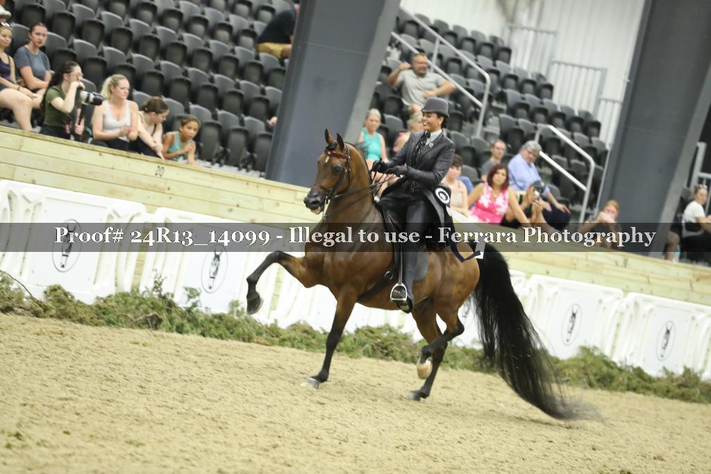 Proof 24R13_14099