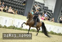 24R13_14099 proof