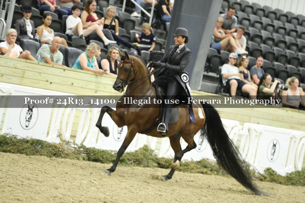 Proof 24R13_14100