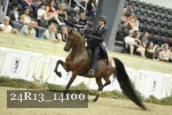 24R13_14100 proof