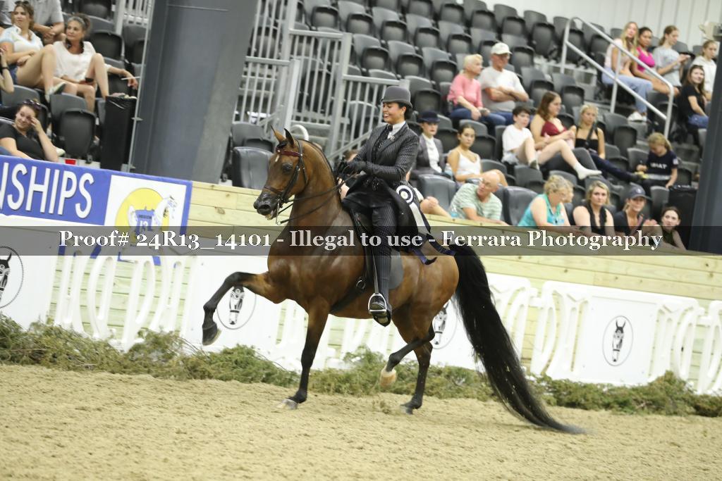 Proof 24R13_14101