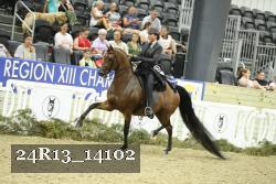 24R13_14102 proof