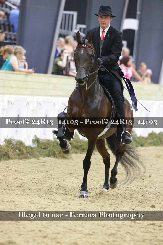 Proof 24R13_14103