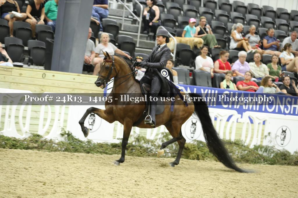 Proof 24R13_14105