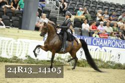 24R13_14105 proof