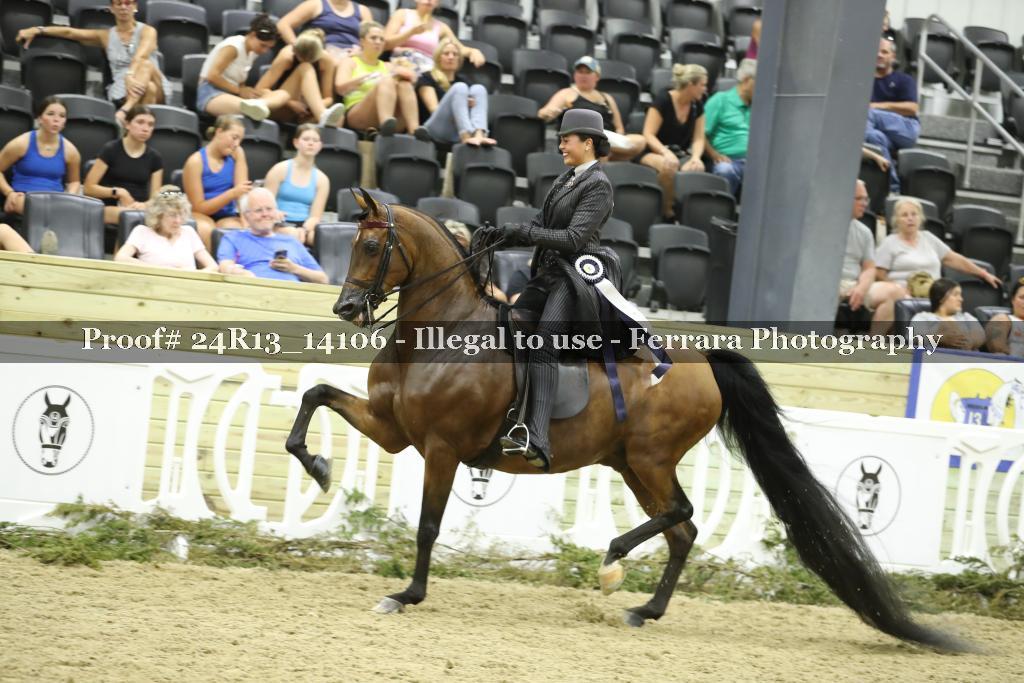 Proof 24R13_14106