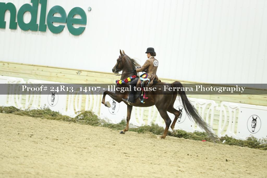 Proof 24R13_14107