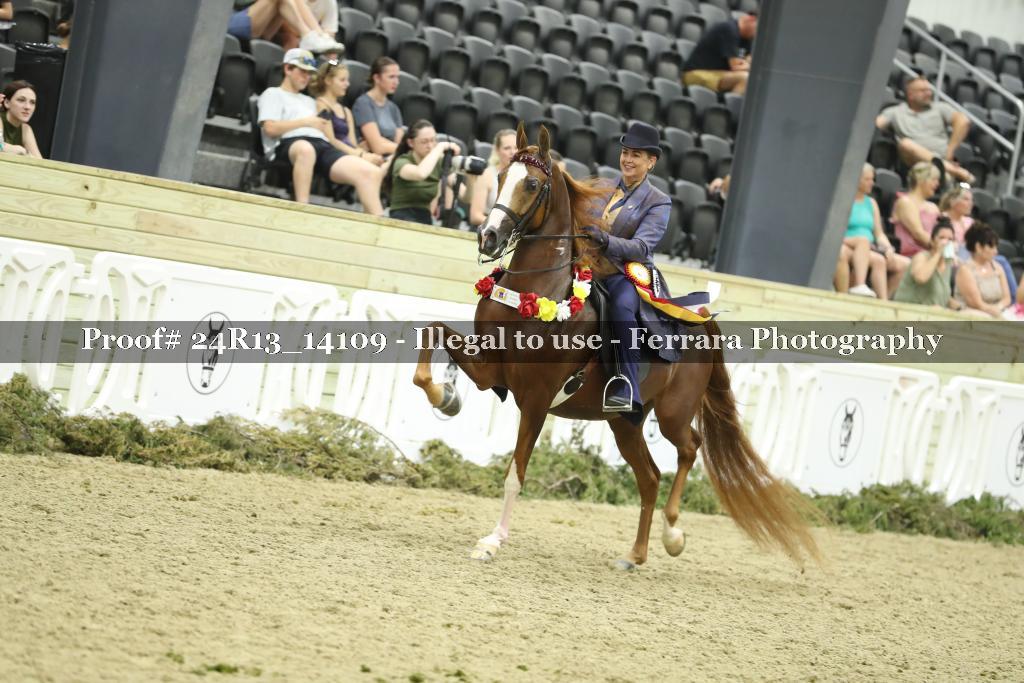 Proof 24R13_14109
