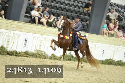 24R13_14109 proof