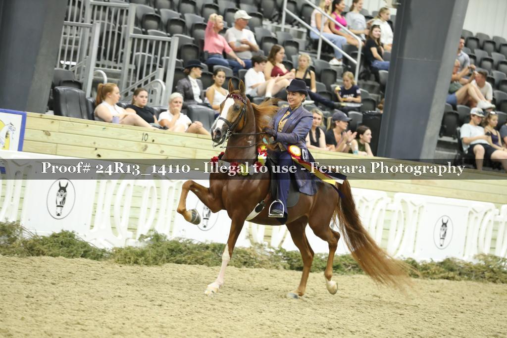 Proof 24R13_14110