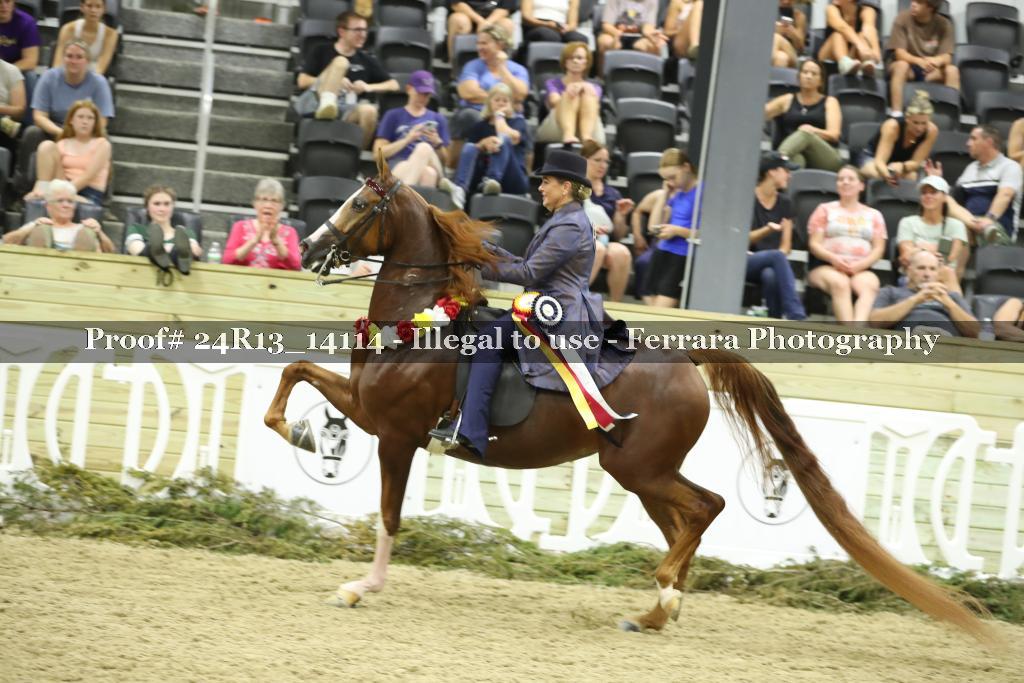 Proof 24R13_14114