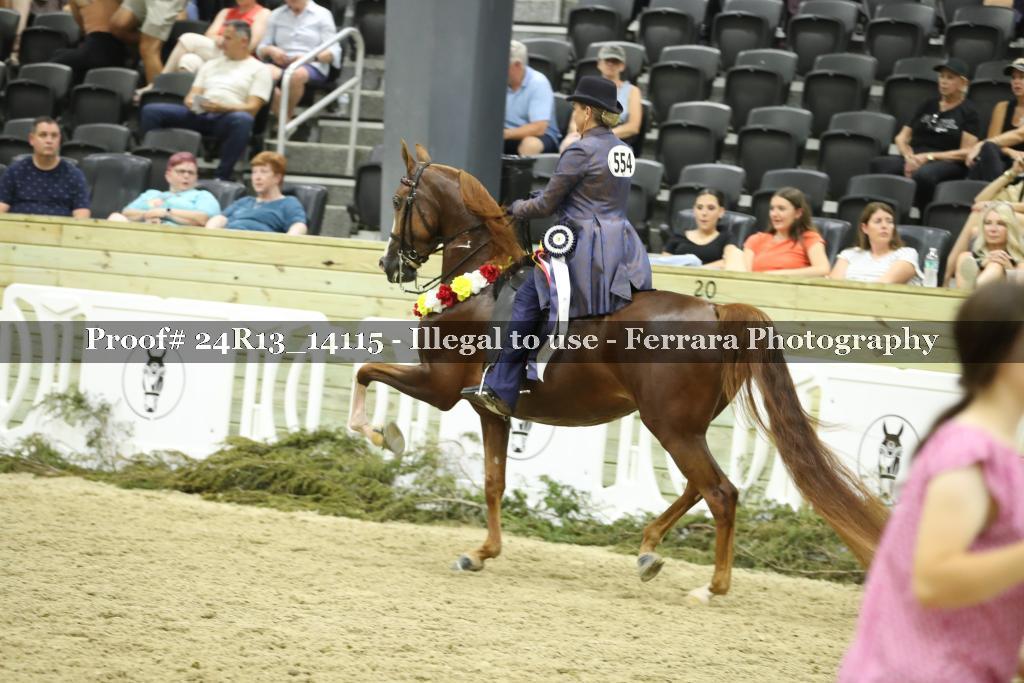 Proof 24R13_14115