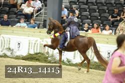 24R13_14115 proof