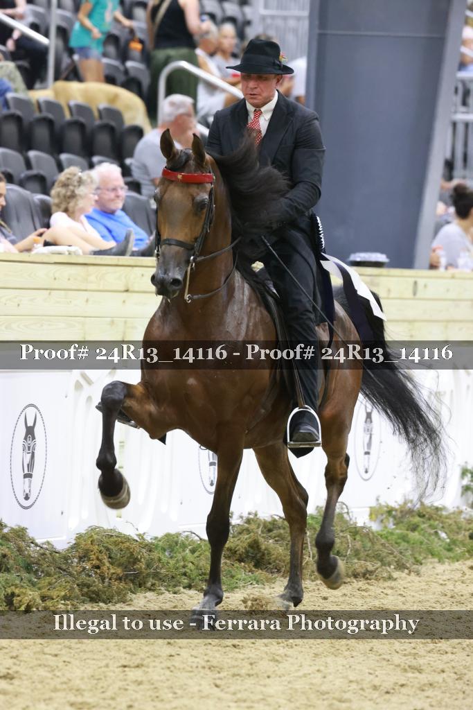 Proof 24R13_14116