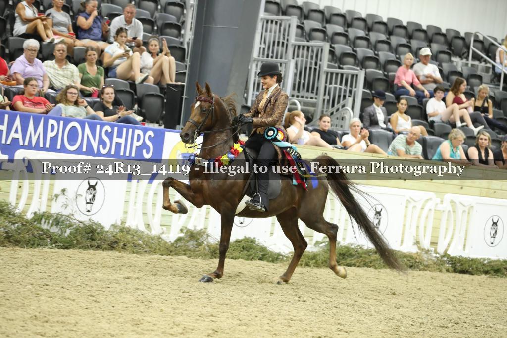 Proof 24R13_14119