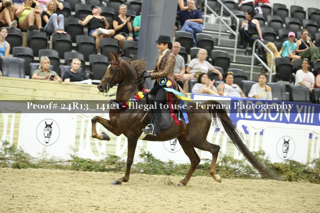 Proof 24R13_14121