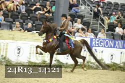 24R13_14121 proof