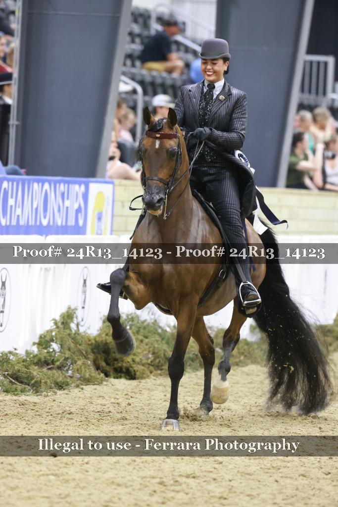 Proof 24R13_14123