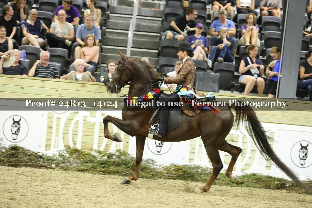 Proof 24R13_14124