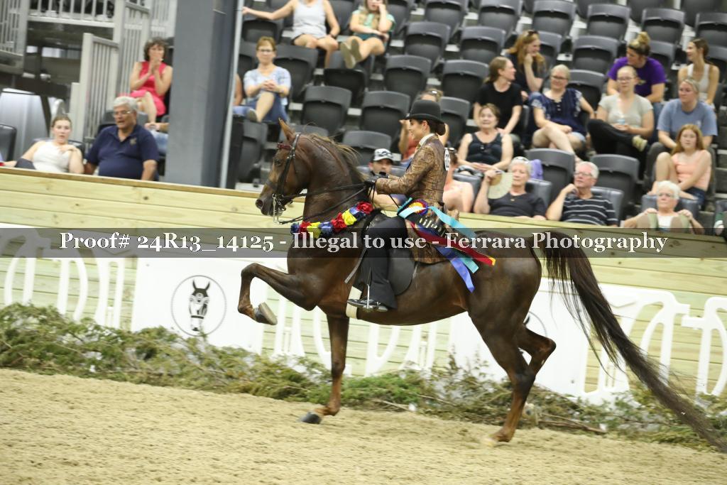 Proof 24R13_14125
