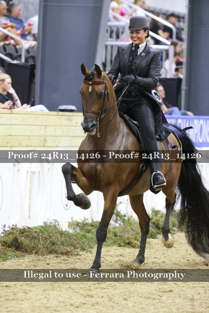 Proof 24R13_14126