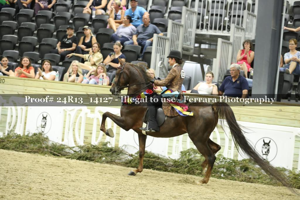 Proof 24R13_14127
