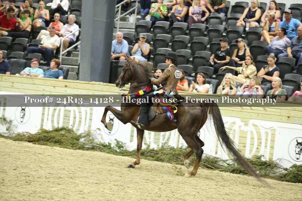 Proof 24R13_14128