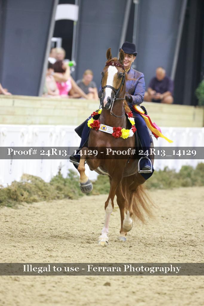Proof 24R13_14129