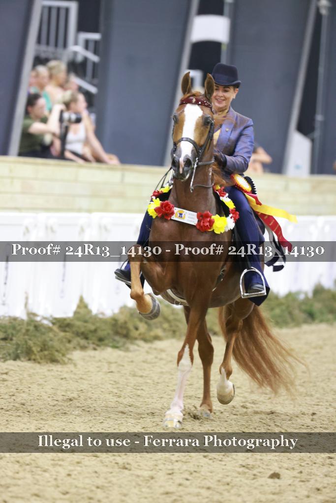 Proof 24R13_14130