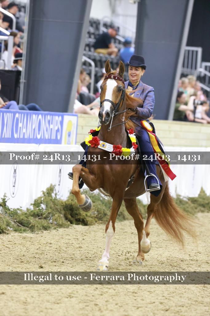 Proof 24R13_14131