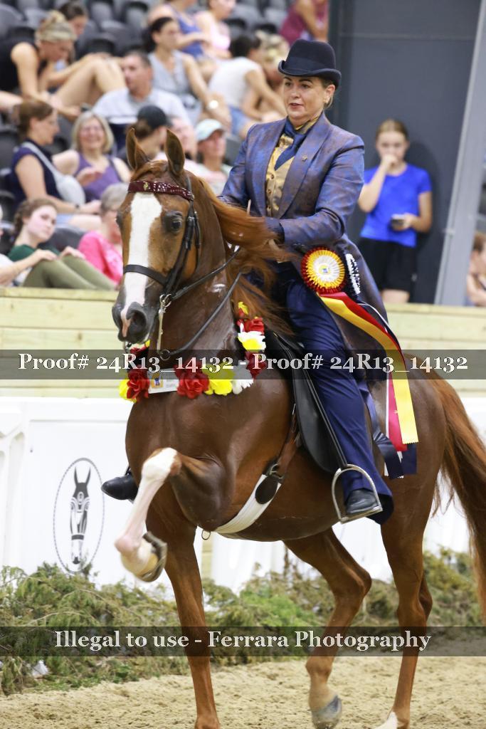 Proof 24R13_14132