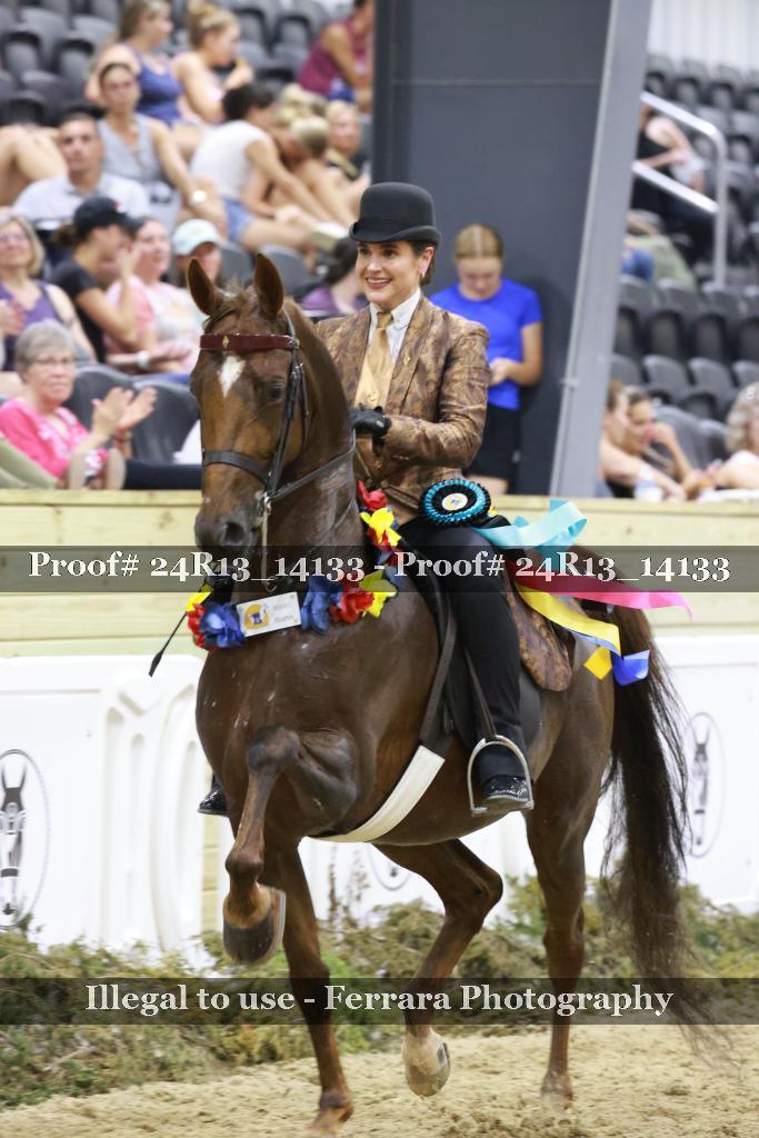 Proof 24R13_14133