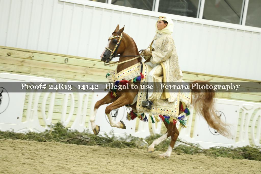 Proof 24R13_14142