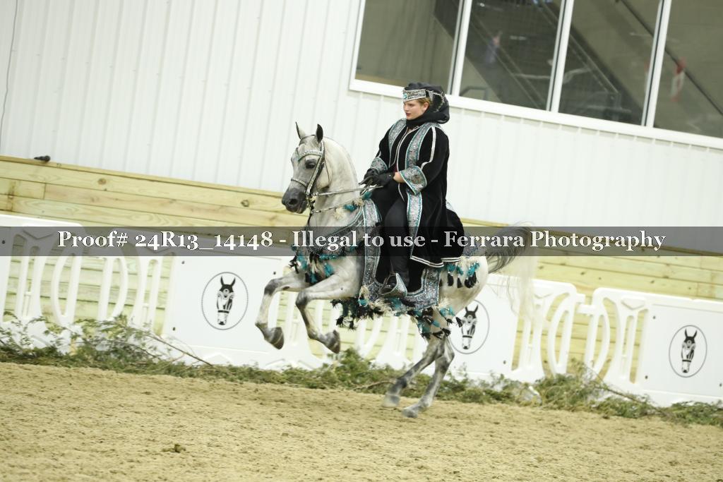 Proof 24R13_14148