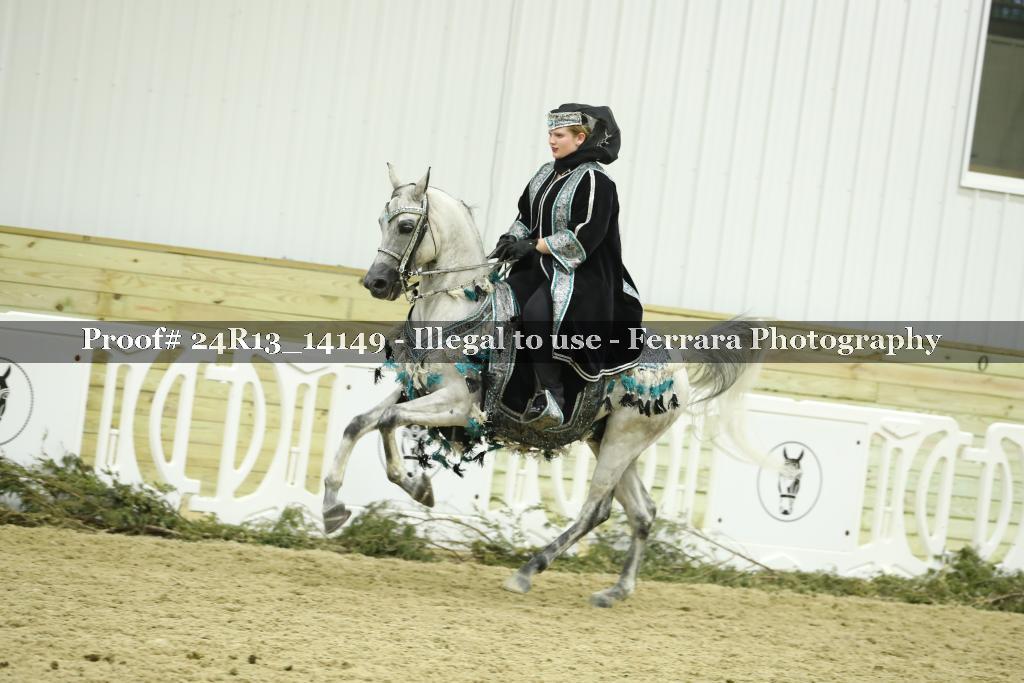 Proof 24R13_14149