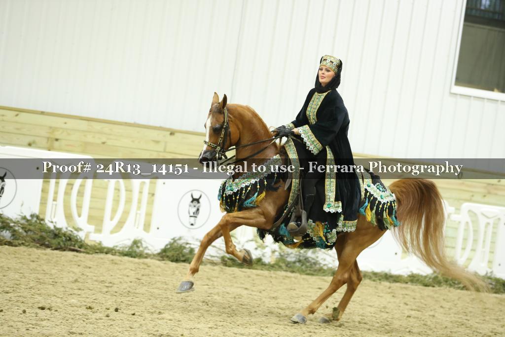 Proof 24R13_14151