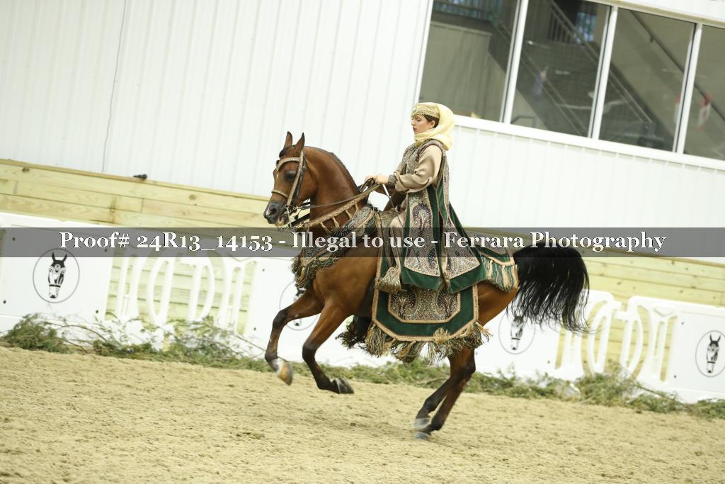 Proof 24R13_14153