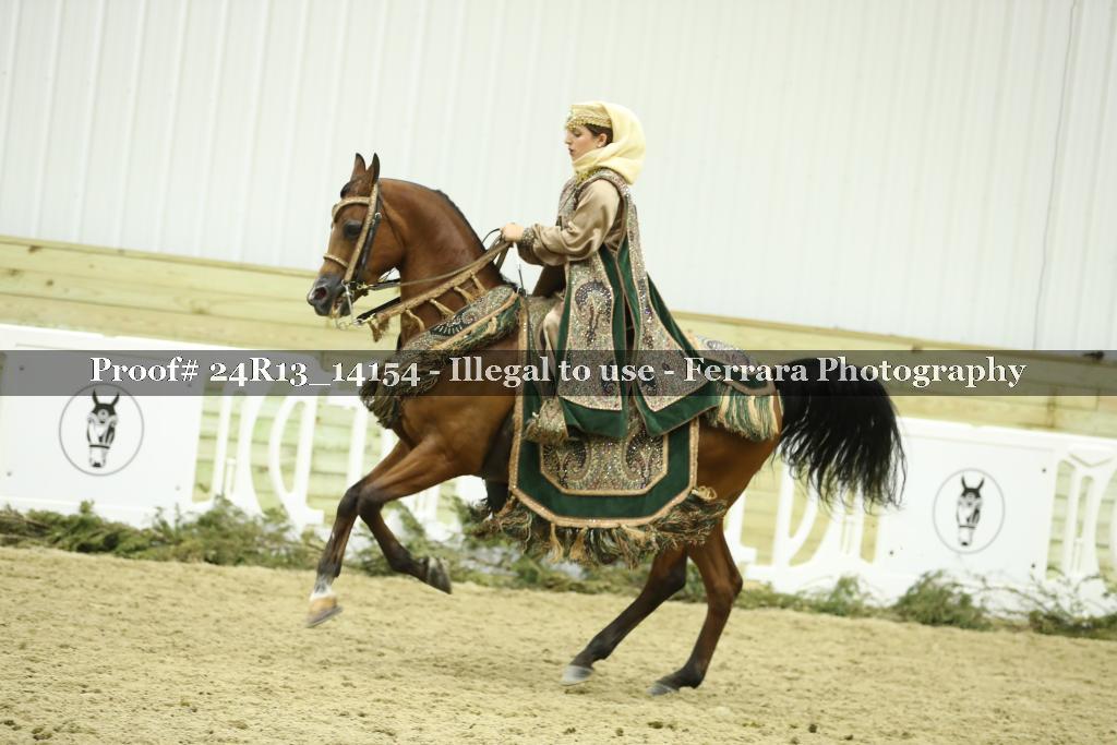 Proof 24R13_14154