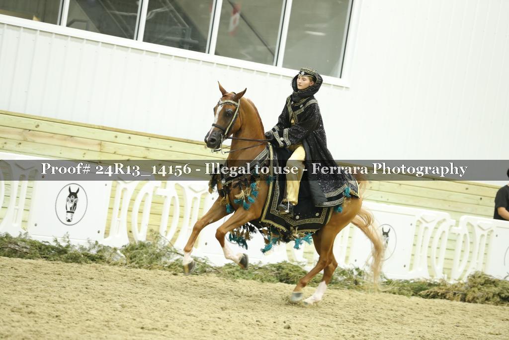 Proof 24R13_14156