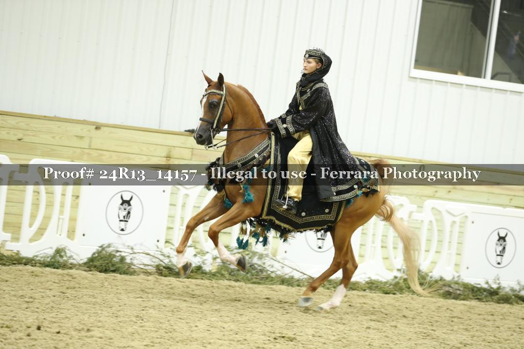 Proof 24R13_14157