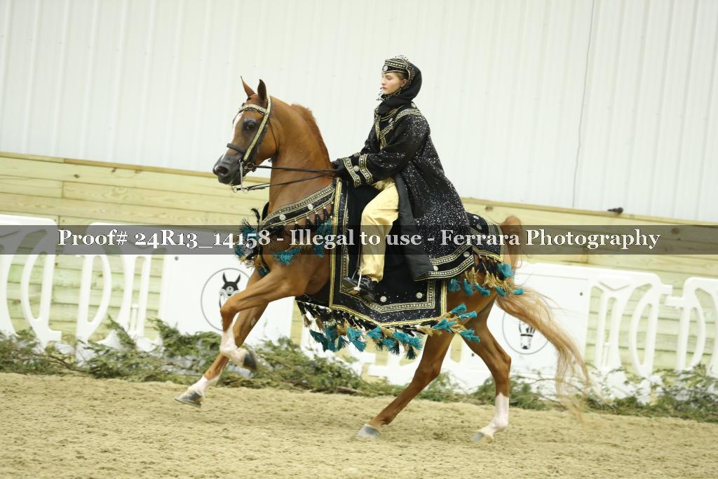 Proof 24R13_14158