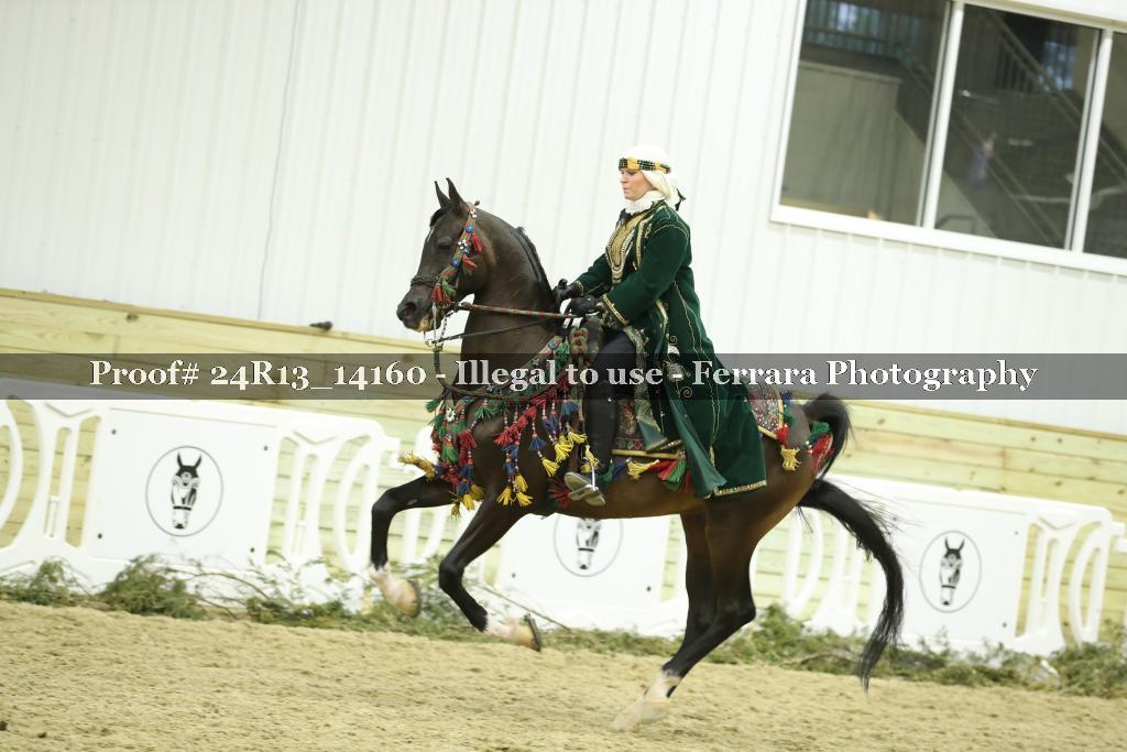 Proof 24R13_14160