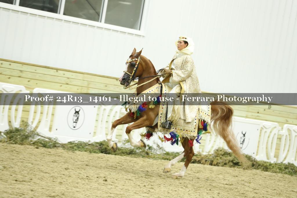Proof 24R13_14161