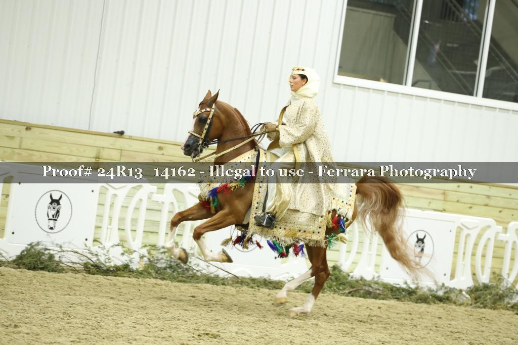 Proof 24R13_14162