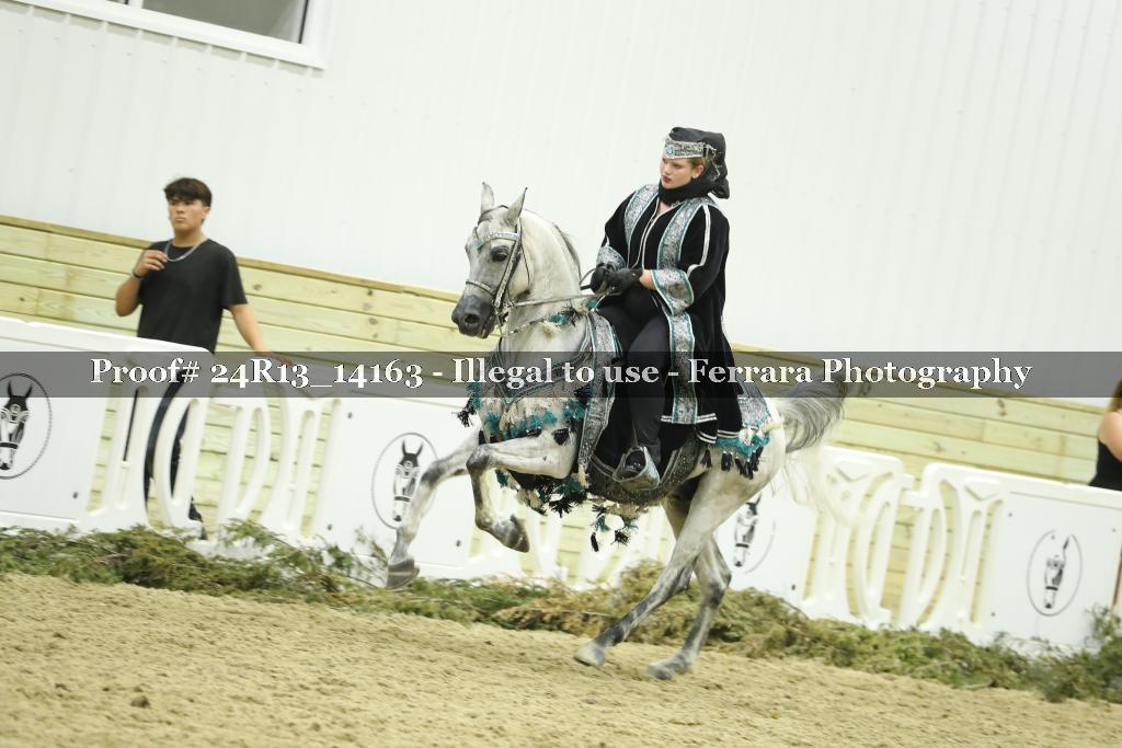 Proof 24R13_14163