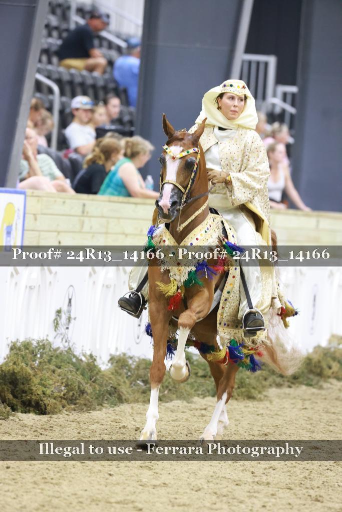 Proof 24R13_14166