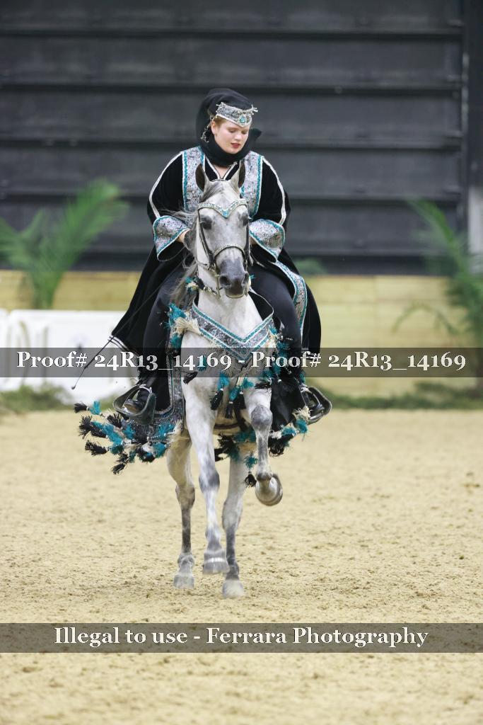 Proof 24R13_14169