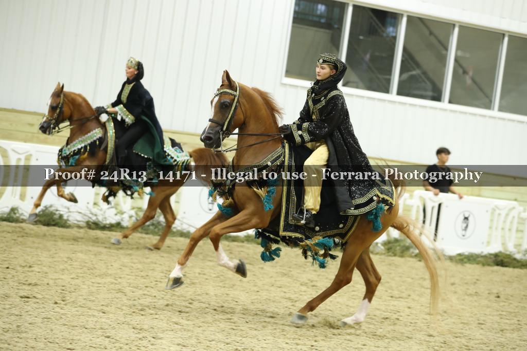 Proof 24R13_14171